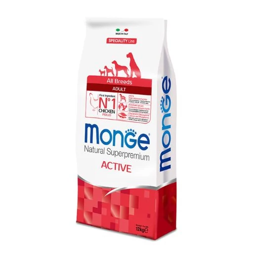 monge-dog-active