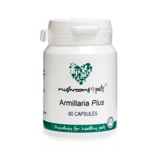 armillaria-plus