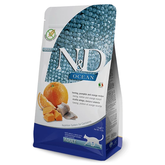nd-ocean-cat-adult-hering-sutotok-narancs