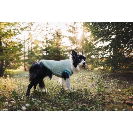 NR Dogs Kutyaruha Türkiz XS