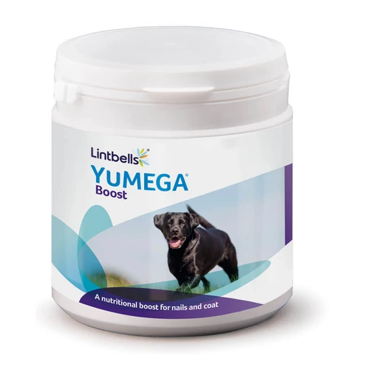 Lintbells YuMEGA,YuDERM Boost - Karomerősítés, szőrnövekedés serkentő - 180 kanál