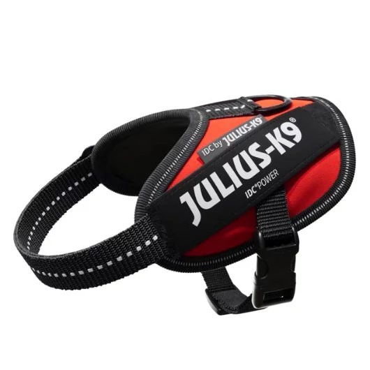 julius-K9-idc-powerham-felirattal-mini-mini-piros