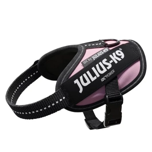 idc-powerham-mini-mini-pink