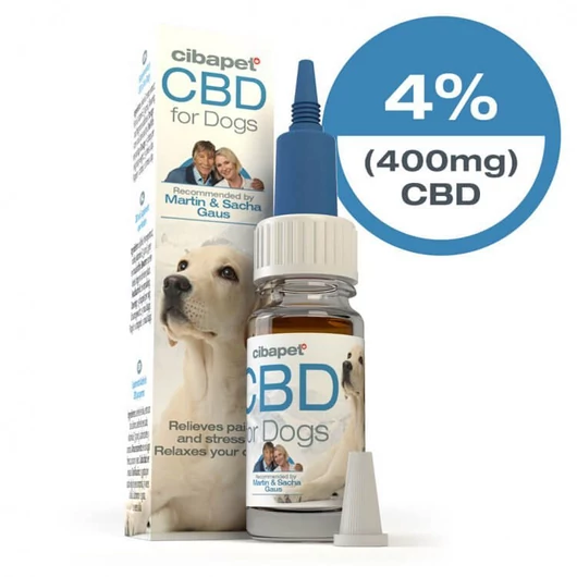 cbd kutyáknak