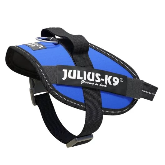 julius-K9-idc-powerham-felirattal-mini-mini-kek