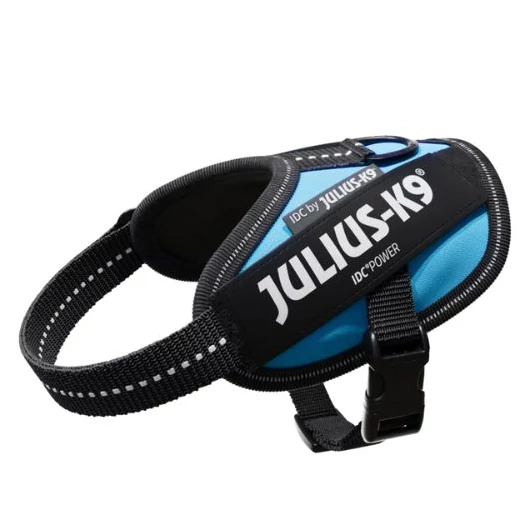 julius-K9-idc-powerham-felirattal-mini-aquamarine