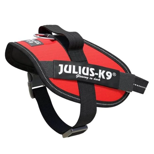 julius-K9-idc-powerham-felirattal-mini-mini-piros