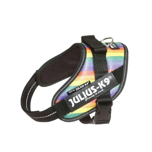 Julius-K9 IDC Powerhám, felirattal, Mini Szivárvány