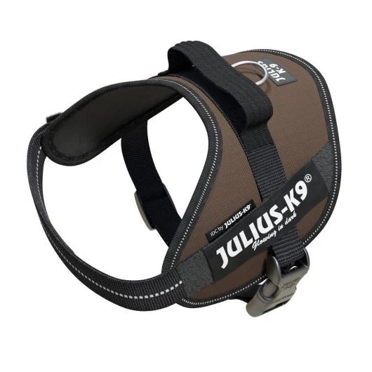 julius-k9-idc-powerhám-felirattal-baby-1-csoki-barna