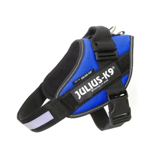 julius-k9-idc-powerhám-felirattal-baby-1-kek