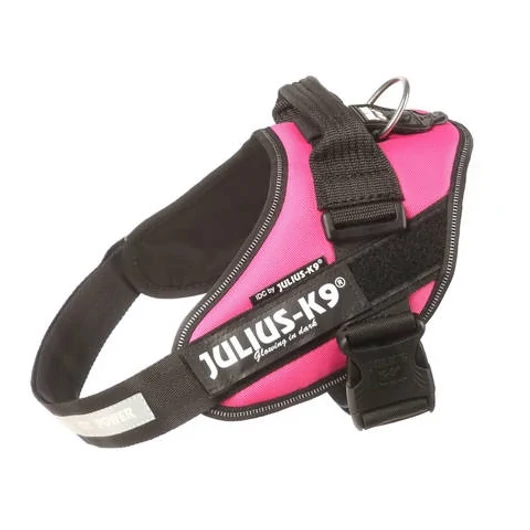 julius-k9-idc-powerhám-felirattal-baby-1-pink