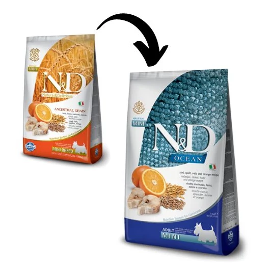 nd-low-grain-tokehal-narancs-adult-mini-kutyatap
