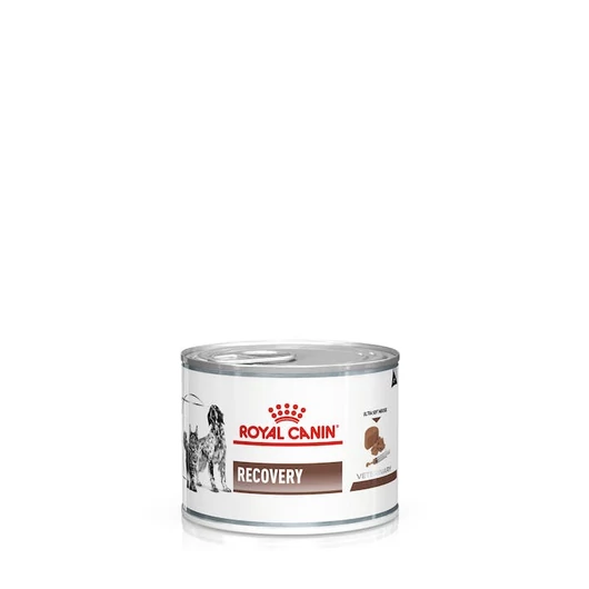 royal-canin-gastrointestinal-recovery-cat-dog-loaf-can-packshot