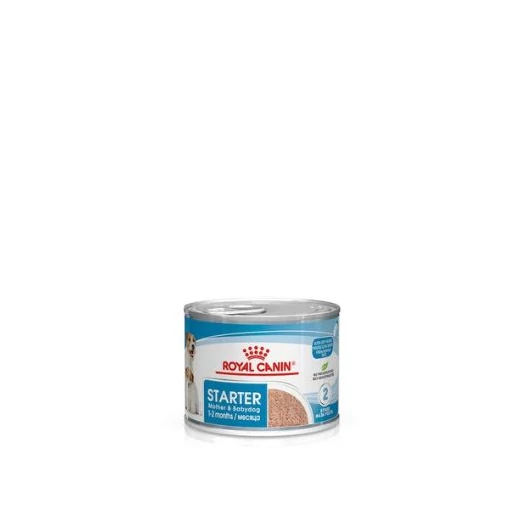 royal-canin-start-of-life-starter mousse