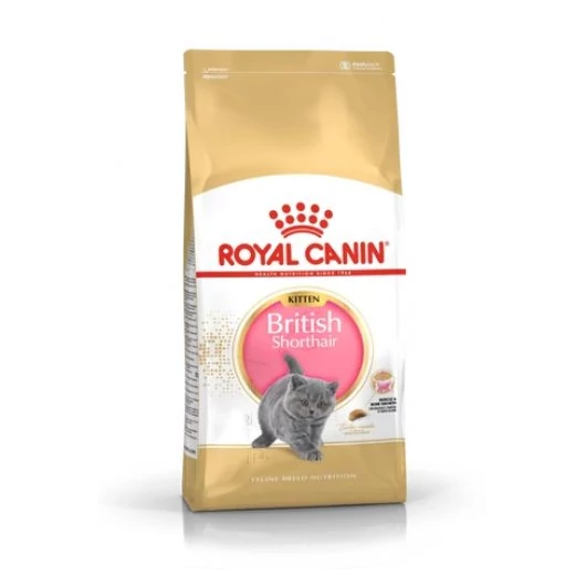 royalcanin-british-shorthair-kitten