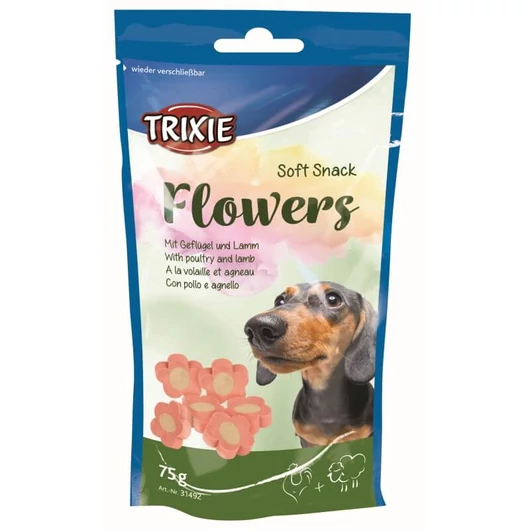 trixie_flowers_jutalomfalatkak