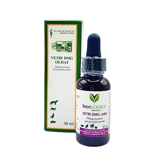 vetri-dmg-oldat