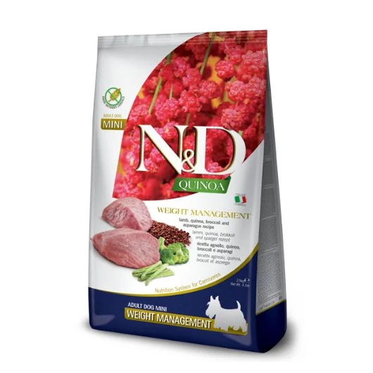 weight-management-barany-felnott-mini