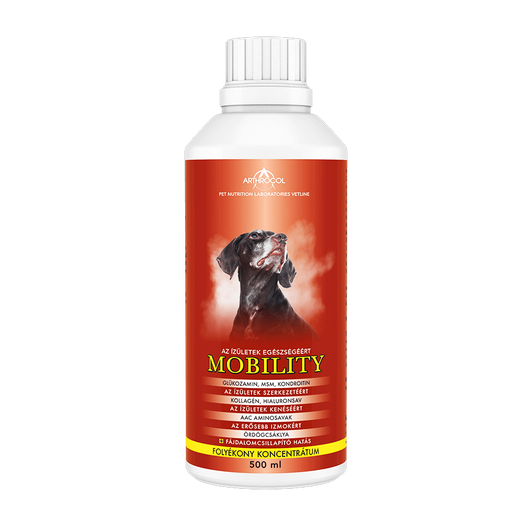mobility-500ml