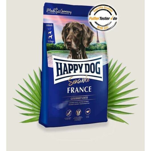 Happy dog France