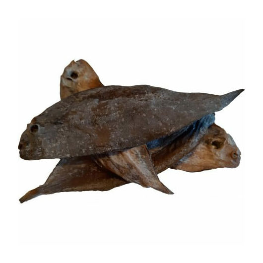 teomann-szaritott-nyelvhal