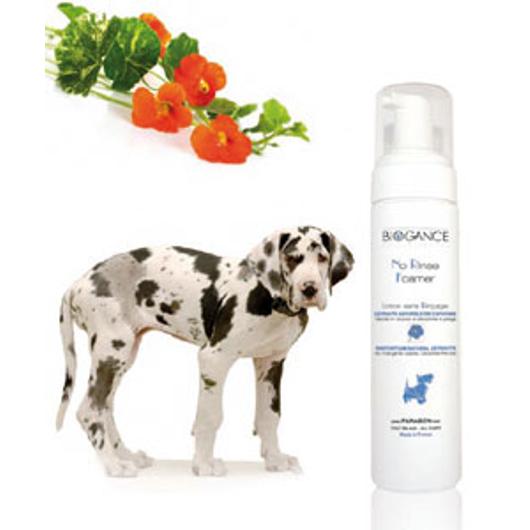 Biogance No Rinse Foamer Dog 200 ml