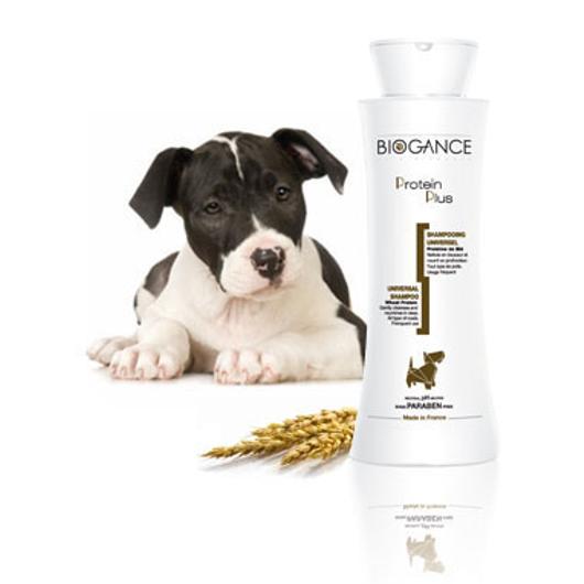 Biogance Protein Plus shampoo 250 ml