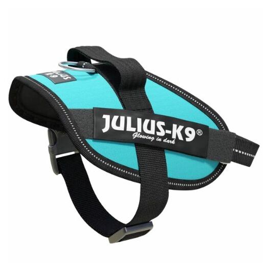 julius-K9-idc-powerham-felirattal-mini-mini-aquamarine