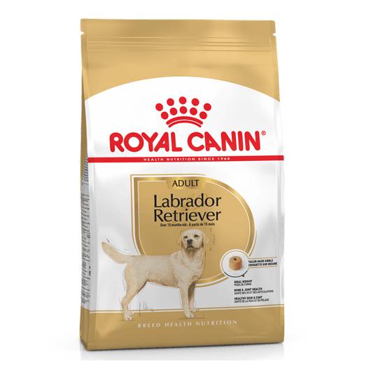 royal-canin-labrador-adult
