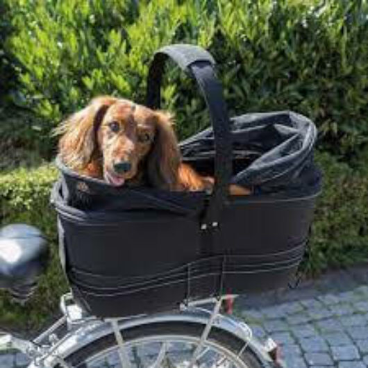 trixie-dog-bicycle-basket-szallitokosar-kerekparra