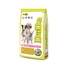 Dado Hypoallergenic Adult Mini