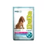 Dado Hypoallergenic Puppy Medium