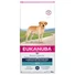 eukanuba-breed-labrador
