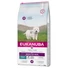 eukanuba-breed-west-highland-terrier