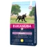 eukanuba-puppy-large