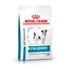 royal-canin-anallergenic-small-dog