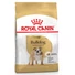 Royal Canin BULLDOG ADULT 12 kg  kutyatáp