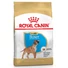 Royal Canin BOXER PUPPY 12 kg kutyatáp