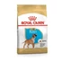 royal-canin-boxer-puppy
