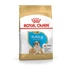 royal-canin-bulldog-puppy