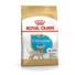 royal-canin-chihuahua-puppy