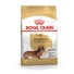 royal-canin-dachshund-adult