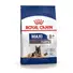 royal-canin-maxi-ageing-8plus