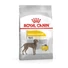 royal-canin-medium-dermacomfort