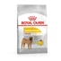 royal-canin-medium-dermacomfort