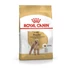 royal-canin-poodle-adult