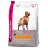 Kép 1/2 - Eukanuba Breed Golden Retriever 12kg kutyatáp