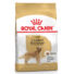 Kép 1/2 - Royal Canin GOLDEN RETRIEVER ADULT 12 kg kutyatáp
