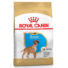 Kép 1/2 - Royal Canin BOXER PUPPY 12 kg kutyatáp