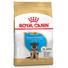 Kép 1/2 - Royal Canin GERMAN SHEPHERD PUPPY 12 kg kutyatáp